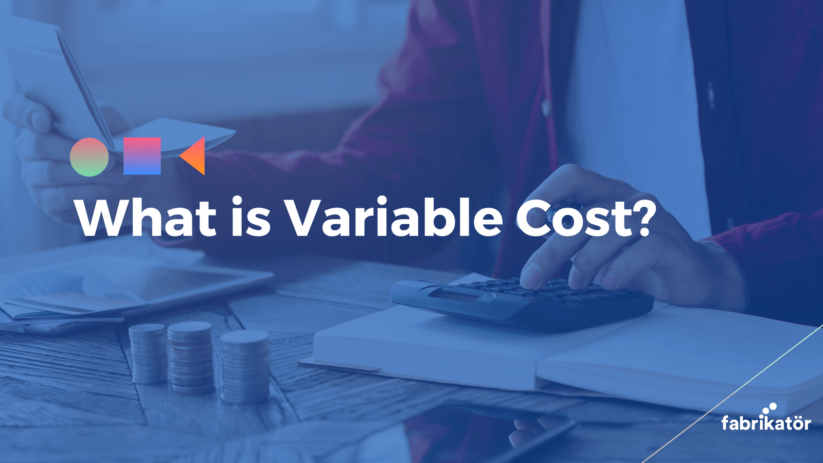 What is Variable Cost?